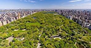 Central Park Conservancy: Our Story (Audio-Described)