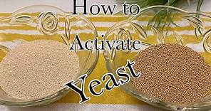 Instant Yeast vs Active Dry Yeast | How to Activate Yeast