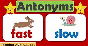 Antonyms | Opposite meaning |Learn the antonyms | Examples of antonyms | Lesson with quiz