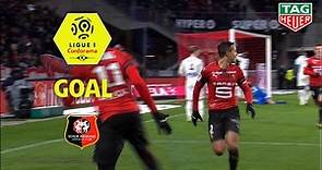 Goal Mehdi ZEFFANE (82') / Stade Rennais FC - Amiens SC (1-0) (SRFC-ASC) / 2018-19