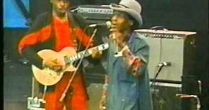 Junior Wells - Messin' With The Kid - Woodlands Blues Fest - Texas (1993)