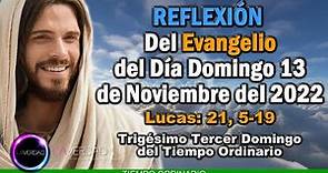 REFLEXIÓN DEL EVANGELIO DEL DÍA DOMINGO 13 DE NOVIEMBRE 2022 LUCAS 21, 5-19 / EVANGELIO 13 NOVIEMBRE