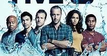 Hawaii Five-0 - guarda la serie in streaming