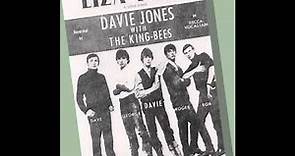 Davie Jones and The King Bees - Liza Jane
