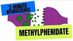 2-Minute Neuroscience: Methylphenidate
