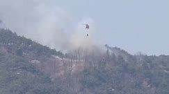 Forest fire in central Seoul forces evacuation of 120 homes