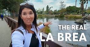 La Brea: the real tar pits | Los Angeles, CA