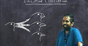 Basic Ornithology: Evolution and Speciation