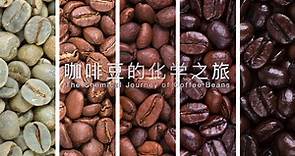 化学与生活 | 第五期 咖啡豆的化学之旅