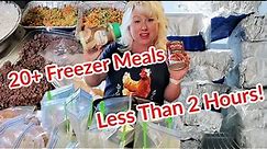 20 EASY FREEZER MEALS for Instant Pot or Slow Cooker in LESS THAN 2 Hours! Plus More Freezer Cooking