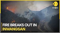 Forest fire in central Seoul forces evacuation of 120 homes | WION Climate Tracker