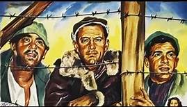 Stalag 17 ( 1953) || War || Drama || Historical || William Holden || Full Length Movie