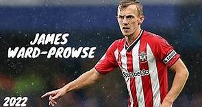 James Ward-Prowse 2022/2023 ● Best Skills and Goals ● [HD]