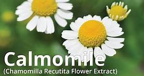 Calmomile (Chamomilla Recutita (Matricaria) Flower Extract)