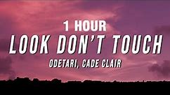 [1 HOUR] Odetari - LOOK DON’T TOUCH (Lyrics) ft. cade clair