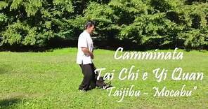Camminata Tai Chi: breve dimostrazione (Taiji e Yi Quan)