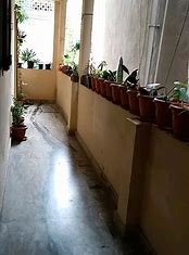 My small garden 😇 #garden #gardening #gardenlife #greenary #goodvibes #happiness #happyme #happyday #green #plants #plantlover #plantlife🌱 | Tista Guha Majumder Singh