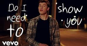 Shawn Mendes - Show You (Official Lyric Video)