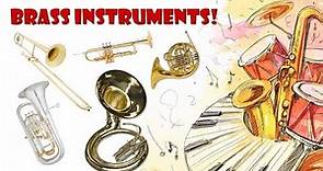 Brass instruments in the orchestra (an introduction)