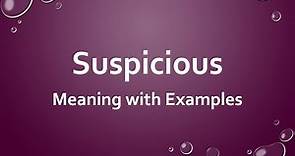 Suspicious Meaning with Examples
