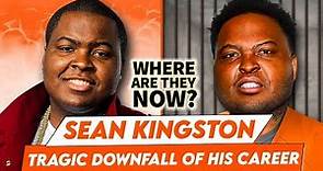 Sean Kingston | Where Are They Now? | Tragic Downfall Of His Career