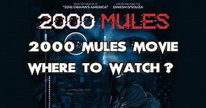 2000 Mules Movie Where To Watch? ALL WAYS to DO IT!!