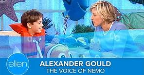 The Voice of Nemo, Alexander Gould