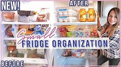 *NEW* SMALL FRIDGE ORGANIZATION IDEAS / HOW TO ORGANIZE YOUR FRIDGE / EXTREME BEFORE AND AFTER