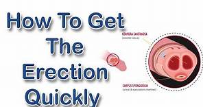 How To Get An Erection Quickly - Get Hard And Quick Erection Instantly