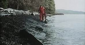 Dead Ahead The Exxon Valdez Disaster 1992