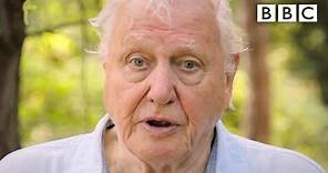 We need IMMEDIATE action to stop extinction crisis, David Attenborough - BBC