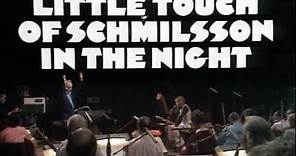 HARRY NILSSON In Concert - A Little Touch Of Schmilsson In The Night