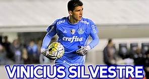 Vinicius Silvestre - Goleiro - Palmeiras