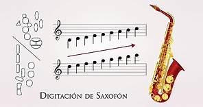 Digitaciones de Saxofón | Saxo Alto o Barítono ( Como tocar Saxo ) ▶️ Escala Cromática