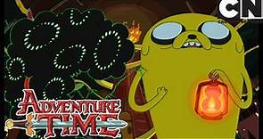 Beautopia | Adventure Time | Cartoon Network