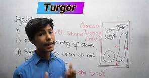 Turgor | Turgidity In Plants | Structure and function of cell |