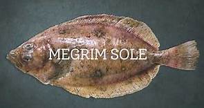 How to cook megrim (or Cornish sole) with Rich Adams