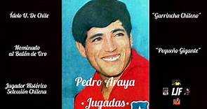 Pedro Araya "El Garrincha Chileno" [Jugadas]