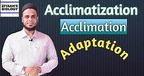 Acclimation | Acclimatization | Adaptation to Environment | CSIR | NEET | NCERT | Ziyaans Biology