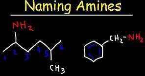Naming Amines - IUPAC Nomenclature & Common Names