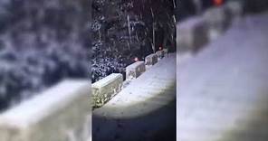 桃園拉拉山飄雪 4K即時影像提供線上賞雪