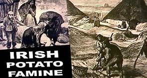 Potato Famine in Ireland