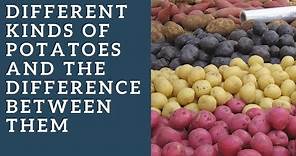 Different kinds of potatoes and the difference between them