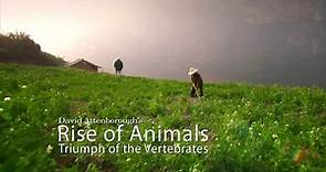 Rise of Animals: Triumph of the Vertebrates - Ep 1 From the Seas to the Skies (2013) - video Dailymotion