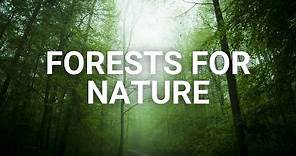 Forests For Nature: The State of the World's Forests