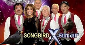 SONGBIRD - XANUR (lyrics)