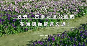 必去！古亭河濱公園的花海讓你留連忘返！#古亭河濱公園 #花海 #台北景點