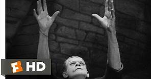 Frankenstein (3/8) Movie CLIP - Meet the Monster (1931) HD