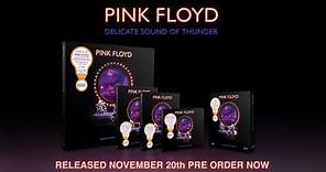 Pink Floyd - Delicate Sound Of Thunder (Unboxing Video)