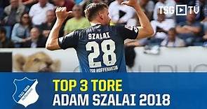 TSG Hoffenheim - Top 3 Goals Adam Szalai 2018